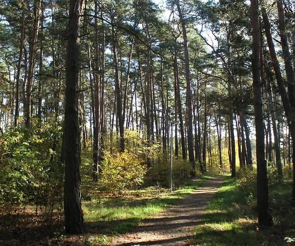 海特坎普考比茨酒店 *